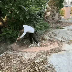 Souffleur SEESE PRO® – Nettoyez Sans Effort