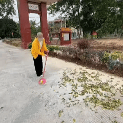 Souffleur PRO® – Nettoyez Sans Effort - Ma boutique